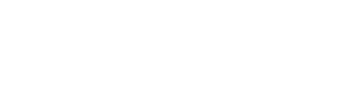 LOGO MEGAWIN